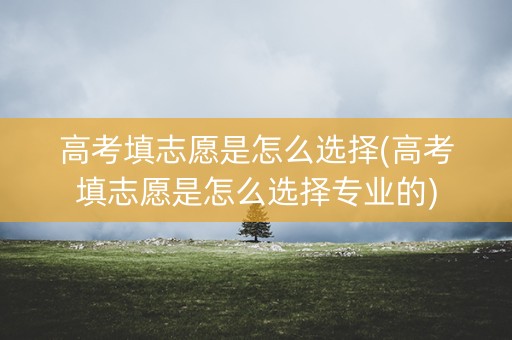 高考填志愿是怎么选择(高考填志愿是怎么选择专业的)