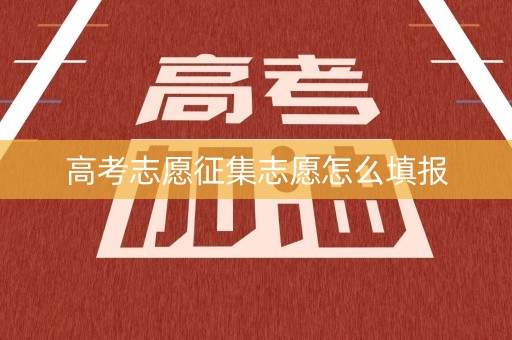 高考志愿征集志愿怎么填报