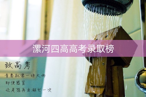 漯河四高高考录取榜