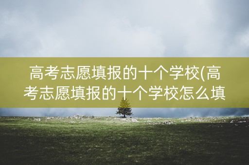 高考志愿填报的十个学校(高考志愿填报的十个学校怎么填)