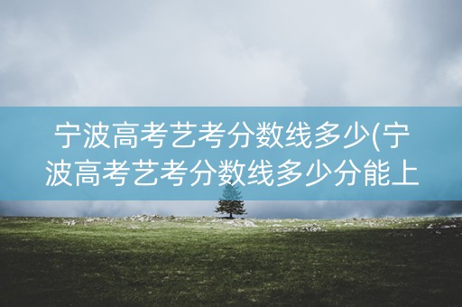宁波高考艺考分数线多少(宁波高考艺考分数线多少分能上) 宁波高考艺考分数线多少(宁波高考艺考分数线多少分能上)
