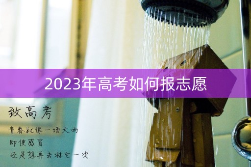 2023年高考如何报志愿 2023年高考如何报志愿
