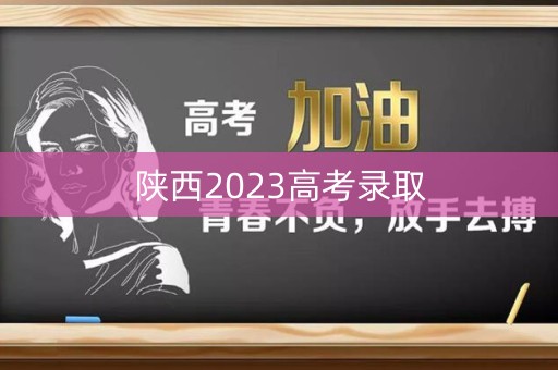陕西2023高考录取