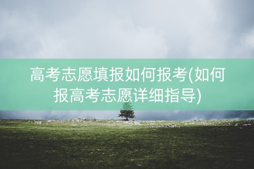 高考志愿填报如何报考(如何报高考志愿详细指导) 高考志愿填报如何报考(如何报高考志愿详细指导)