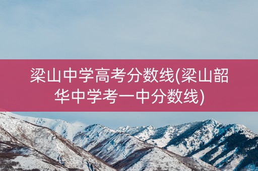 梁山中学高考分数线(梁山韶华中学考一中分数线)