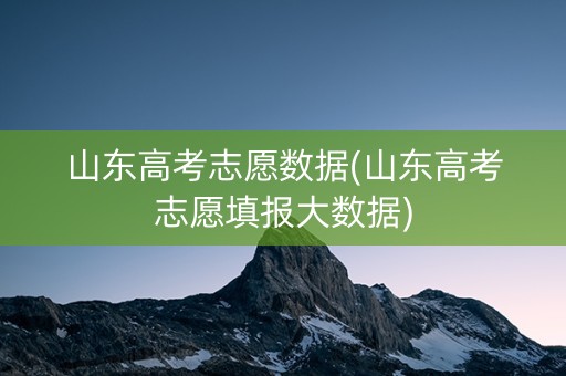 山东高考志愿数据(山东高考志愿填报大数据)