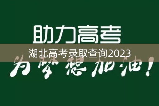 湖北高考录取查询2023