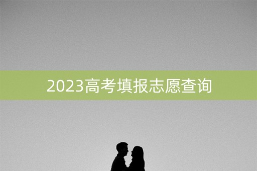 2023高考填报志愿查询