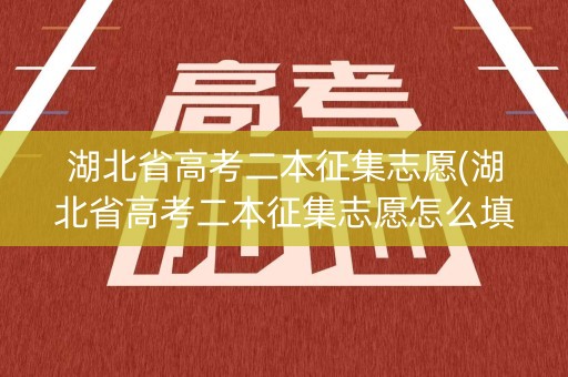 湖北省高考二本征集志愿(湖北省高考二本征集志愿怎么填)