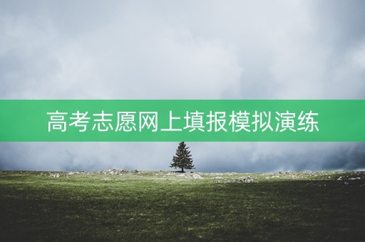 高考志愿网上填报模拟演练
