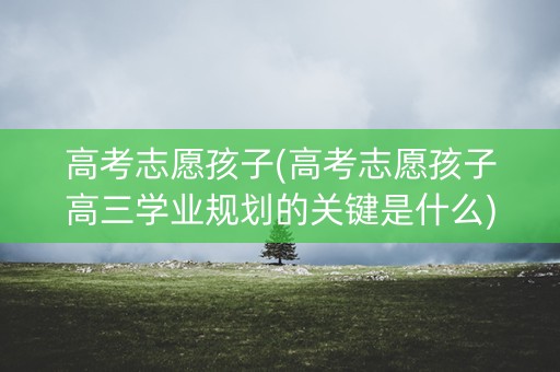 高考志愿孩子(高考志愿孩子高三学业规划的关键是什么)