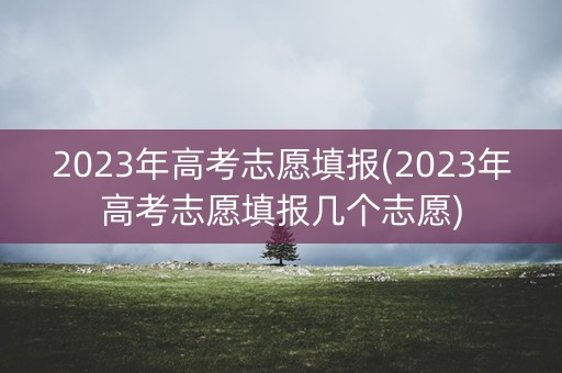 2023年高考志愿填报(2023年高考志愿填报几个志愿) 2023年高考志愿填报(2023年高考志愿填报几个志愿)