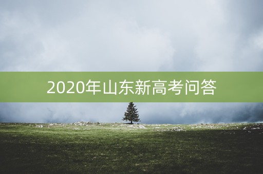 2020年山东新高考问答