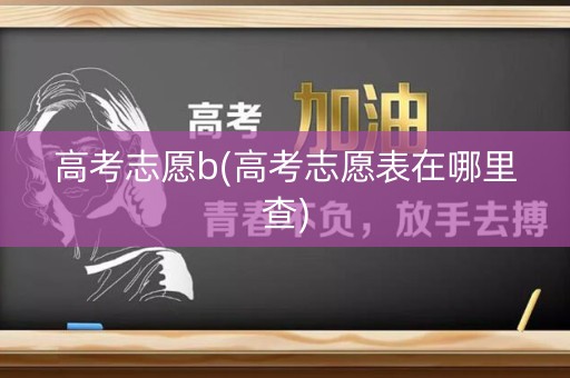 高考志愿b(高考志愿表在哪里查)