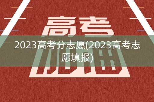 2023高考分志愿(2023高考志愿填报)