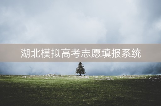 湖北模拟高考志愿填报系统 湖北模拟高考志愿填报系统