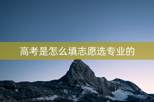 高考是怎么填志愿选专业的